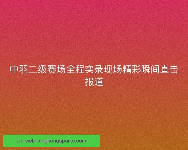 中羽二级赛场全程实录现场精彩瞬间直击报道
